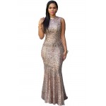 Blush Sequins Keyhole Back Party Gown